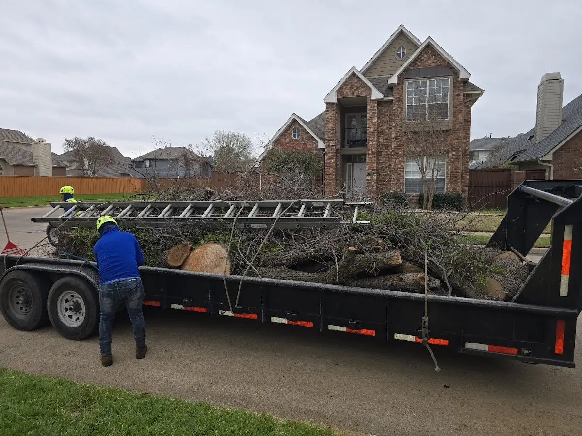 Expert Lot Clearing with proper safety equipment in Marienthal
